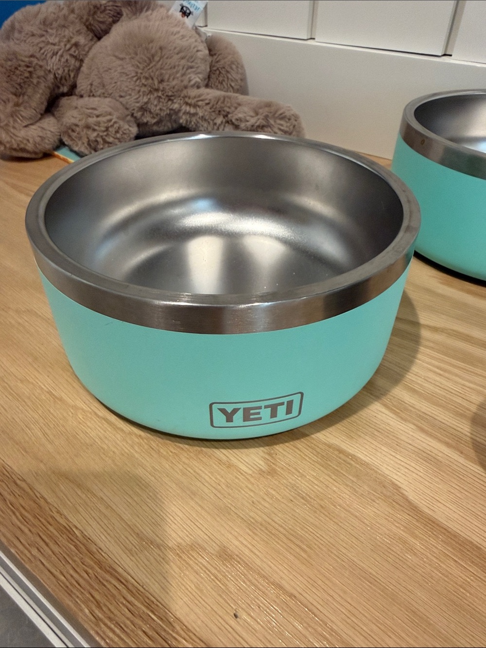 YETI Boomer Dog bowl - color Seafoam Stainless Steel Pet Bowl